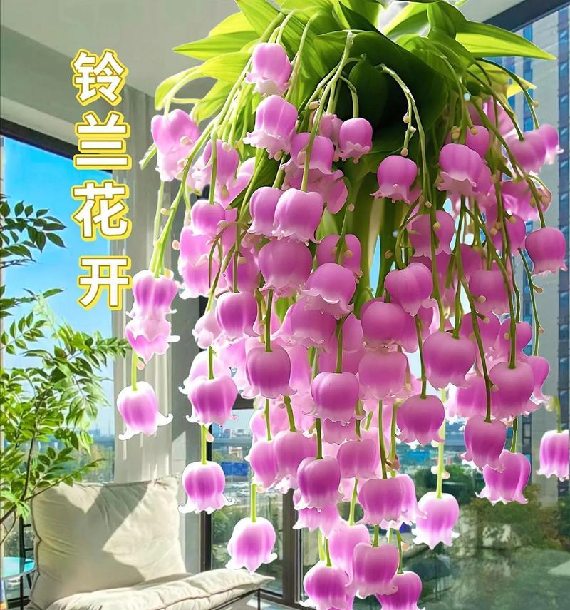 丹麦铃兰的花语是什么？它象征着什么？