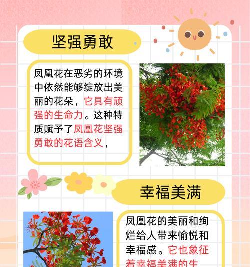 各种花卉的花语分别是什么？