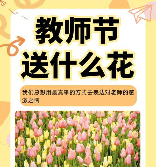 送师傅的花应写什么花语？表达敬意的最佳选择是什么？