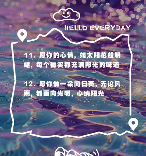 太阳花的花语是什么？为何人们会感到迷糊？