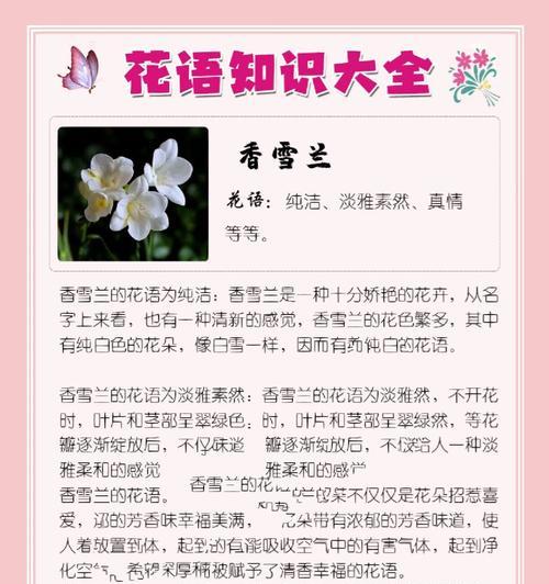 冰兰茉莉的花语是什么？冰兰茉莉象征着哪些美好品质？