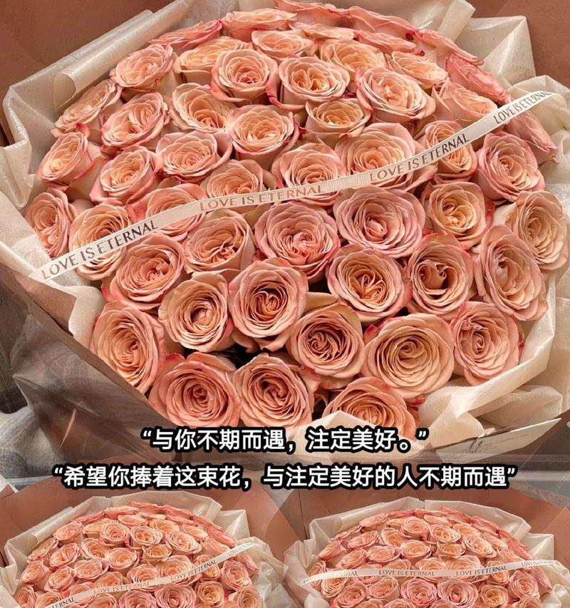 哪种花语代表婉拒表白？