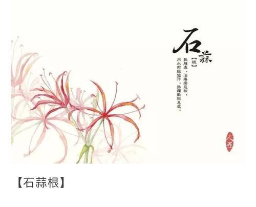 葫芦的花语含义是什么？如何理解葫芦的象征意义？