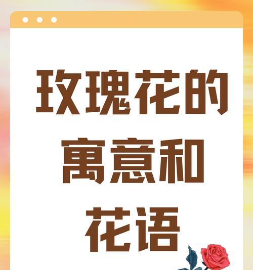 玫瑰花数量与爱情寓意有何关联？