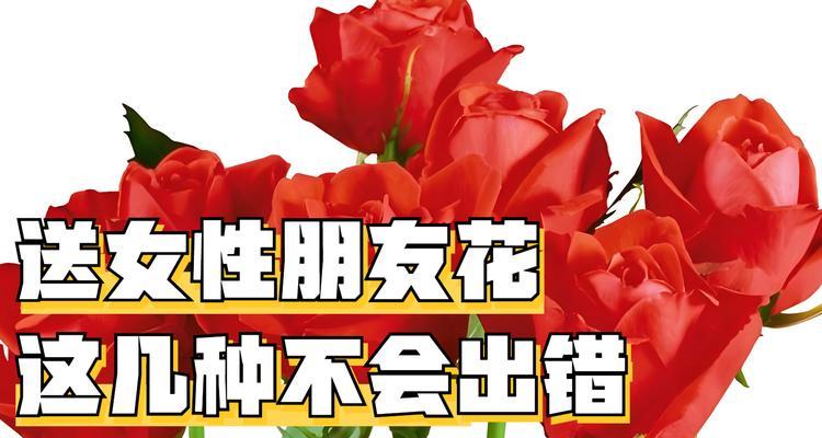 等别离开的花语是什么？寓意出轨的花语又是什么意思？