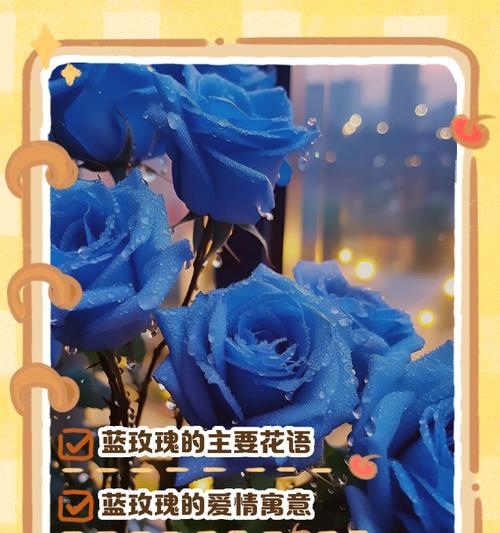 蓝玫瑰爱情花语是什么？蓝玫瑰在爱情中代表什么？