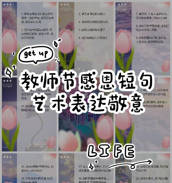 教师节适合用哪种花语表达敬意？