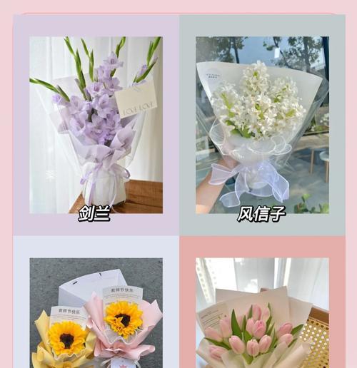 教师节适合用哪种花语表达敬意？