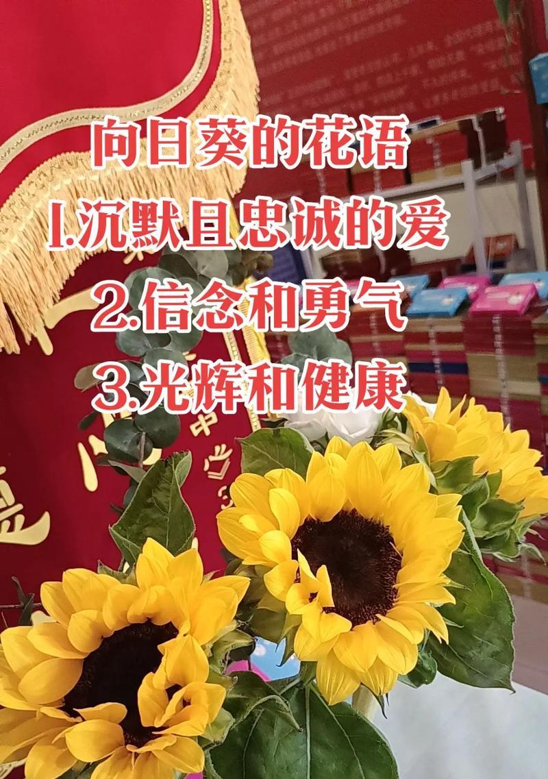 19的花语代表什么？如何正确理解19的花语？