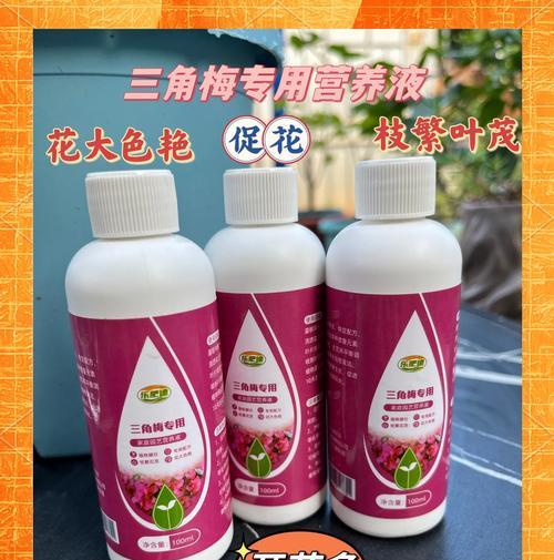 三角梅的开花季节是什么时候？如何促进其开花？