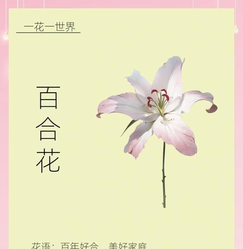 如何让花期延长？有哪些方法可以延长花卉的花期？