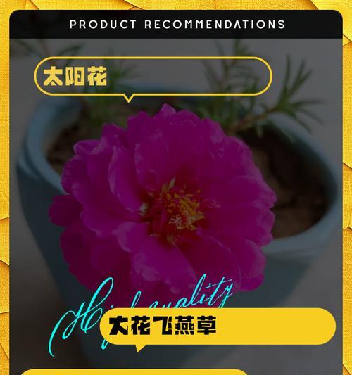 冬天花卉的养殖技巧有哪些？如何确保花卉在冬天的生长？