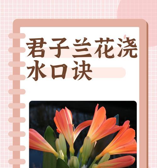 家里的盆栽养护需要注意哪些问题？有哪些基本的养护技巧？