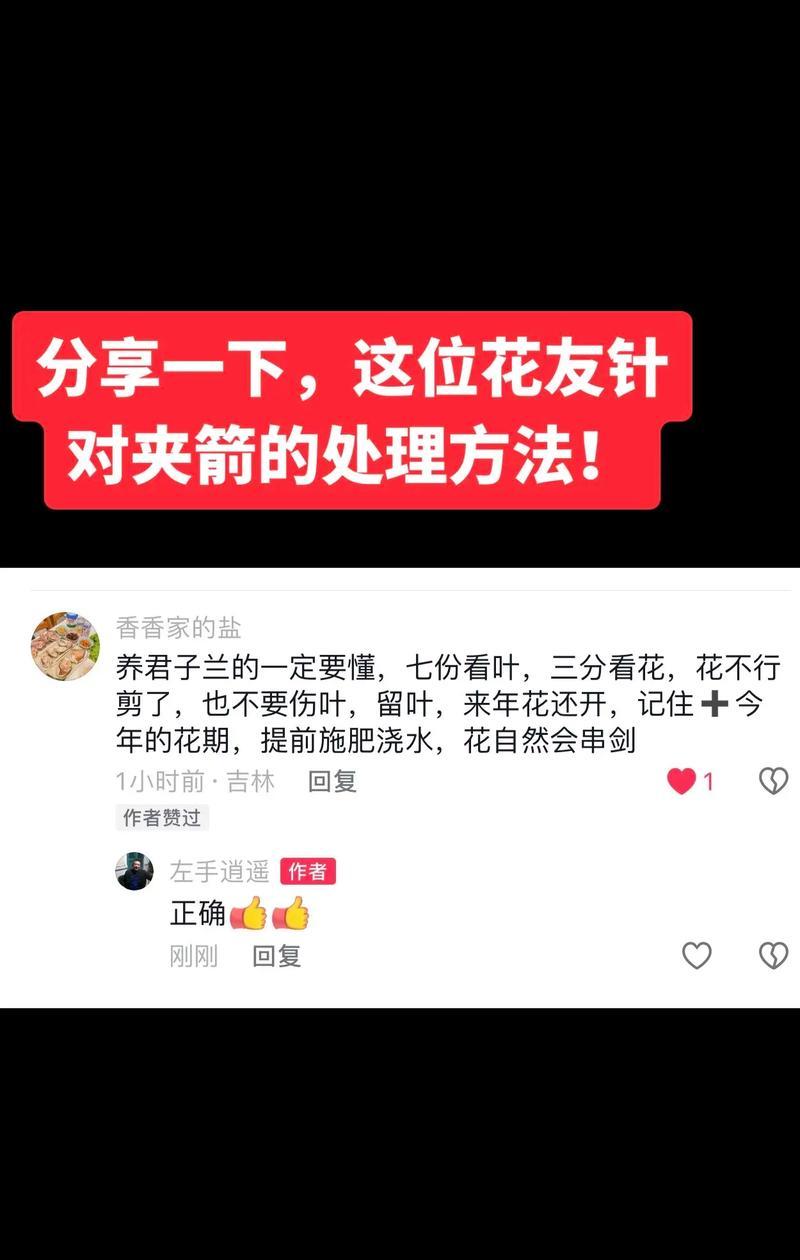 君子兰花夹箭了应该怎么办？有哪些处理方法？