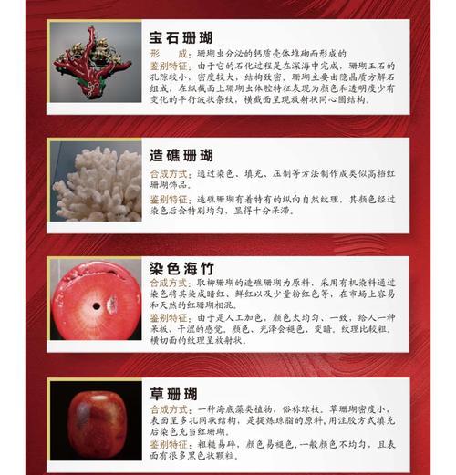 珊瑚繁殖的方法有哪些？如何成功繁殖珊瑚？