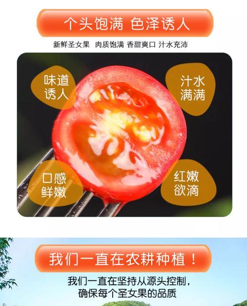 圣女果种植方法？需要注意什么？
