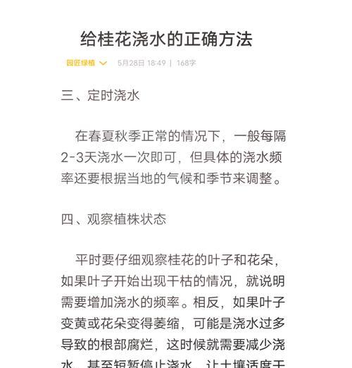 桂花冬季如何养护？有哪些注意事项？