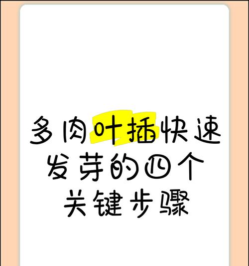 多肉植物种子种植的方法是什么？如何提高发芽率？