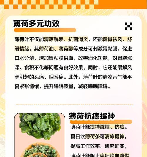 薄荷叶的特征是什么？如何辨别真假薄荷？