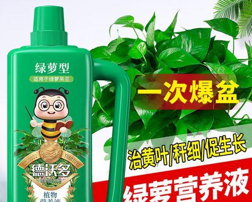 水培绿萝需要添加什么营养液？