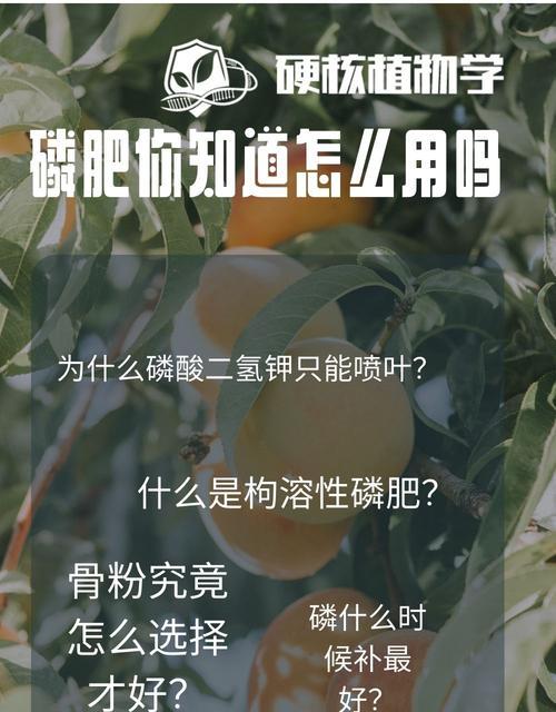 磷肥对哪些花卉有益？使用磷肥的最佳时机是什么时候？