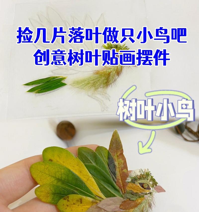 树叶处理的环保方法有哪些？如何有效利用落叶？