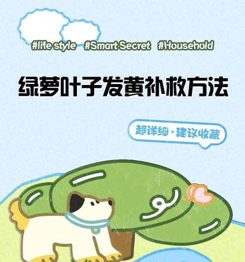 绿罗叶子变黄是什么原因？如何解决？