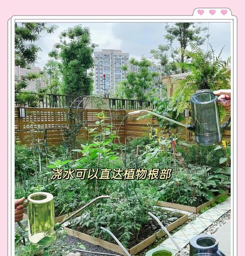 新买的多肉植物浇水方法是什么？多久浇一次水？