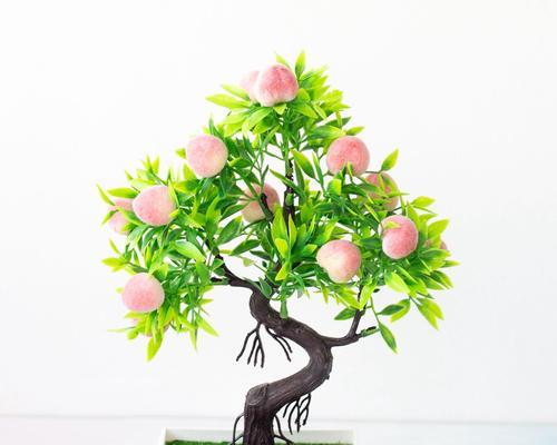 盆栽桃树有哪些美观的造型？如何打造理想的盆栽桃树？