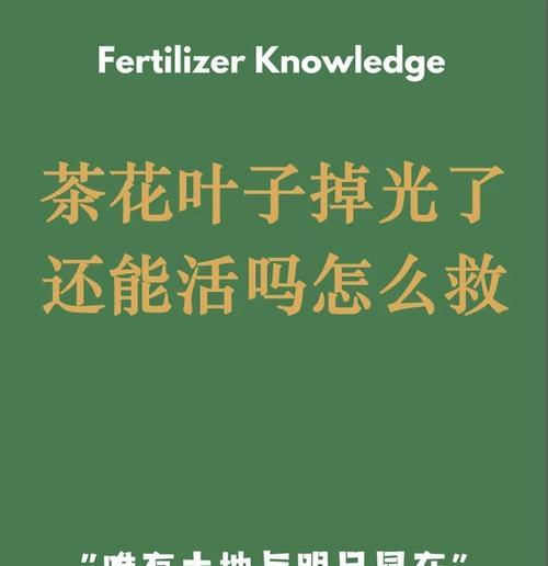 山茶花叶子脱落的原因是什么？如何预防和处理？