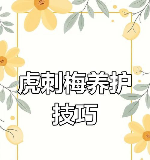 虎刺梅的养殖方法和注意事项是什么？