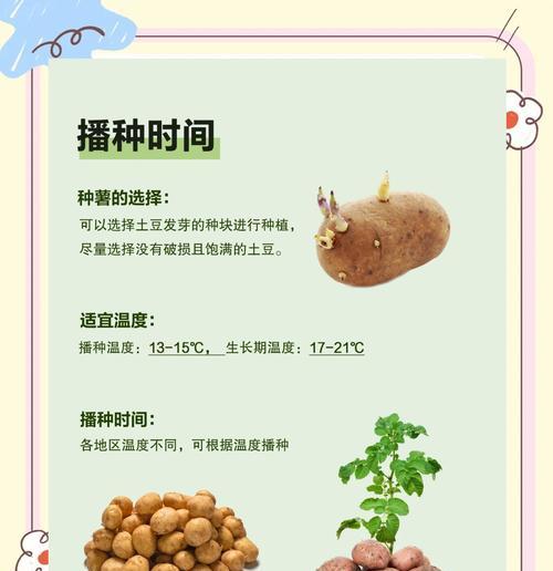 网上买的花种子如何正确种植？种植后如何照料？