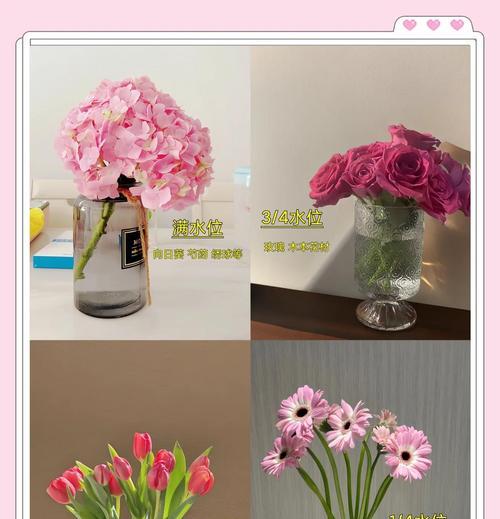 玫瑰花保鲜技巧有哪些？怎样延长花期？