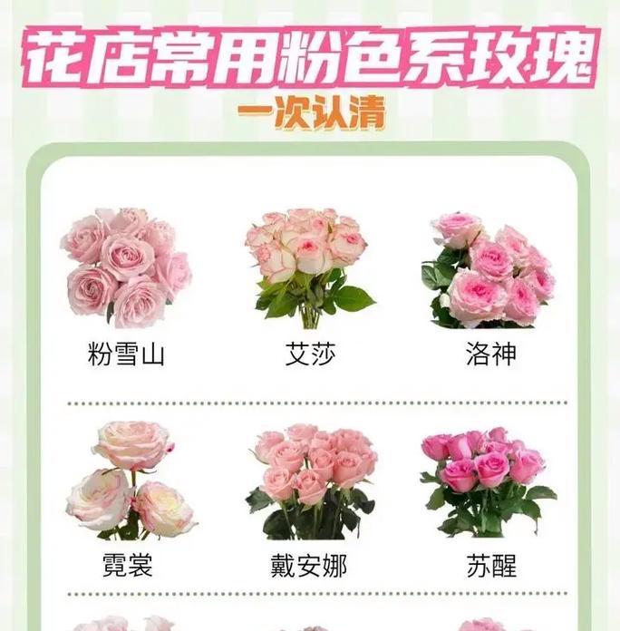 玫瑰花保鲜技巧有哪些？怎样延长花期？