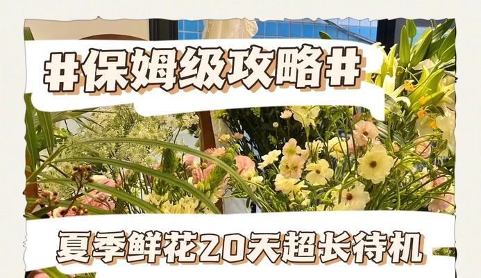 玫瑰花保鲜技巧有哪些？怎样延长花期？