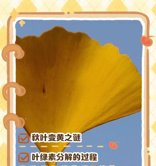 植物叶子变黄的原因及解决方法是什么？