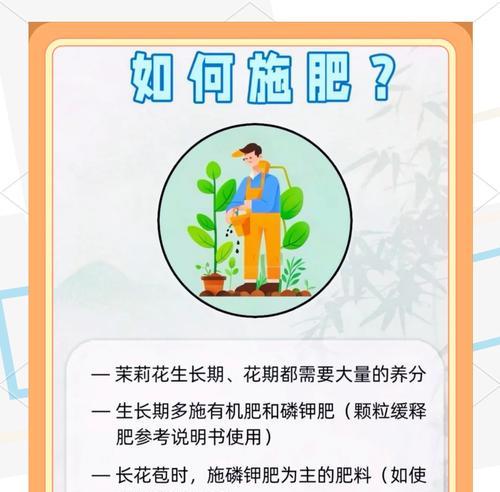 茉莉花修剪的最佳时机是什么时候？如何修剪才能促进更多花蕾？