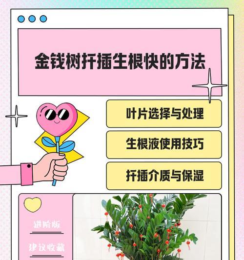 豆瓣绿扦插方法是什么？扦插后多久能生根？