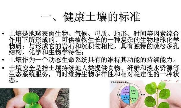 印尼三角梅的日常管理要点是什么？如何确保其健康生长？