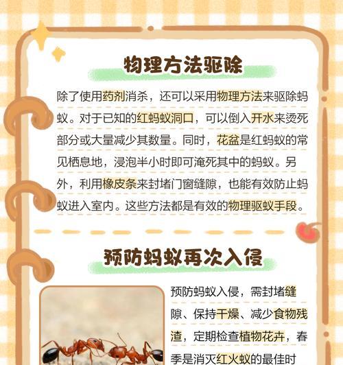 花盆里的蚂蚁怎么去除？如何有效去除花盆里的蚂蚁？