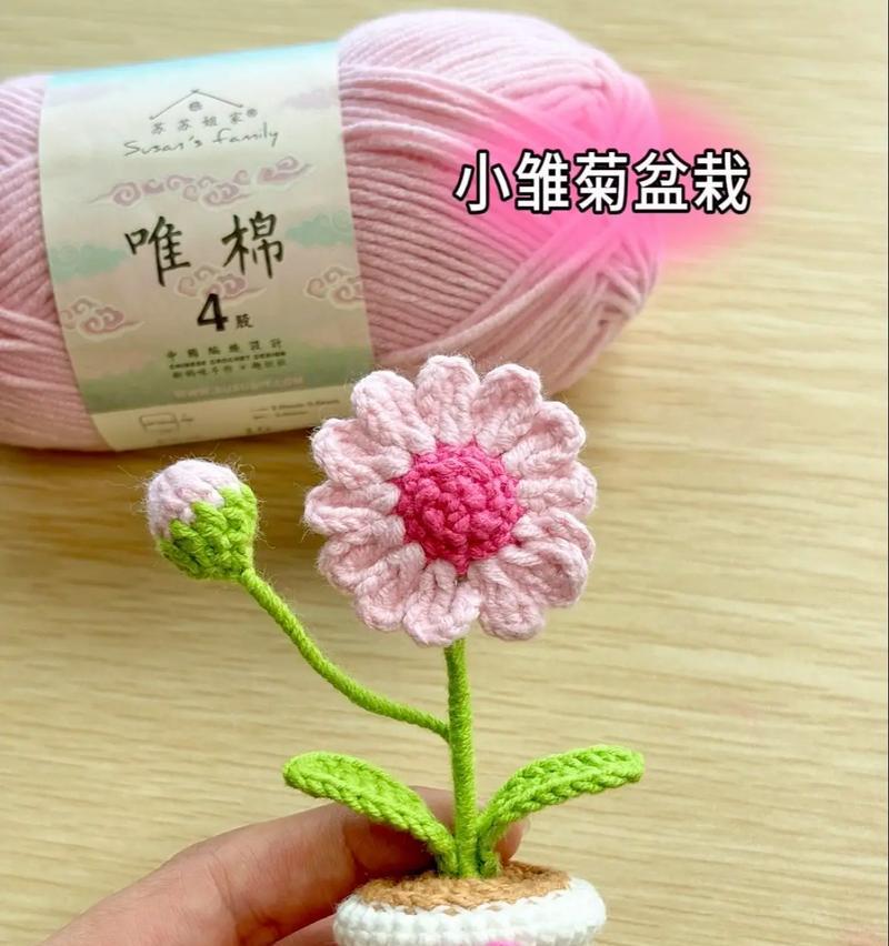 小雏菊盆栽如何保持可爱绒球状？日常养护需要注意什么？