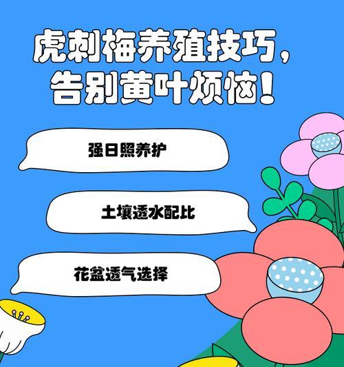 虎刺梅叶子发黄是什么原因？如何恢复？