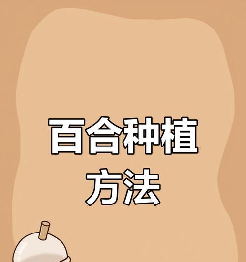 百合种植需要注意什么？如何种植百合？