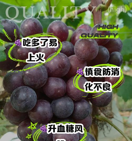 盆栽葡萄结果少的原因及解决办法是什么？