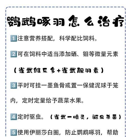 飞羽的饲养方法有哪些？如何保持其健康？