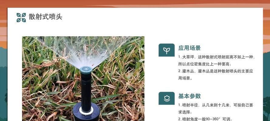 喷喷香植物的养殖技巧有哪些？如何保持其香气？