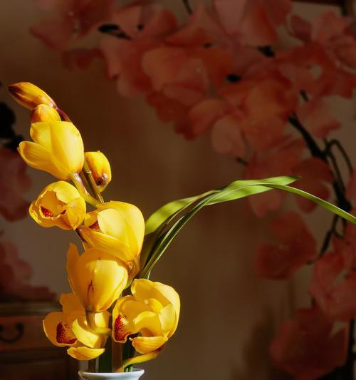 花艺和插花的区别是什么？它们各自的特点是什么？
