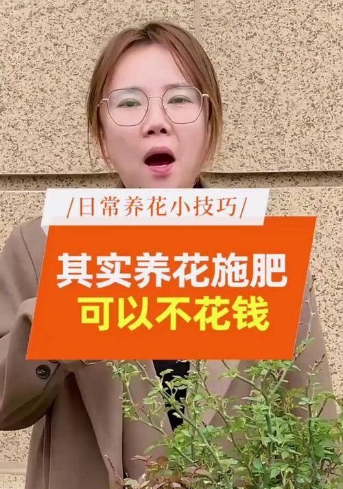 适合养花的水质有哪些选择？