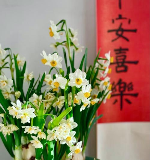 水仙花的开花时间是什么时候？