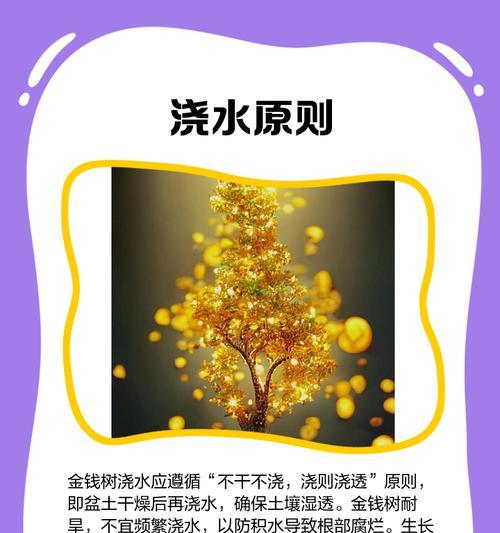 金钱树掉叶子是什么原因？如何有效防止？